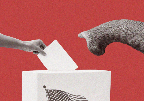 Become a Poll Worker in Harris County, Texas and Support Democracy